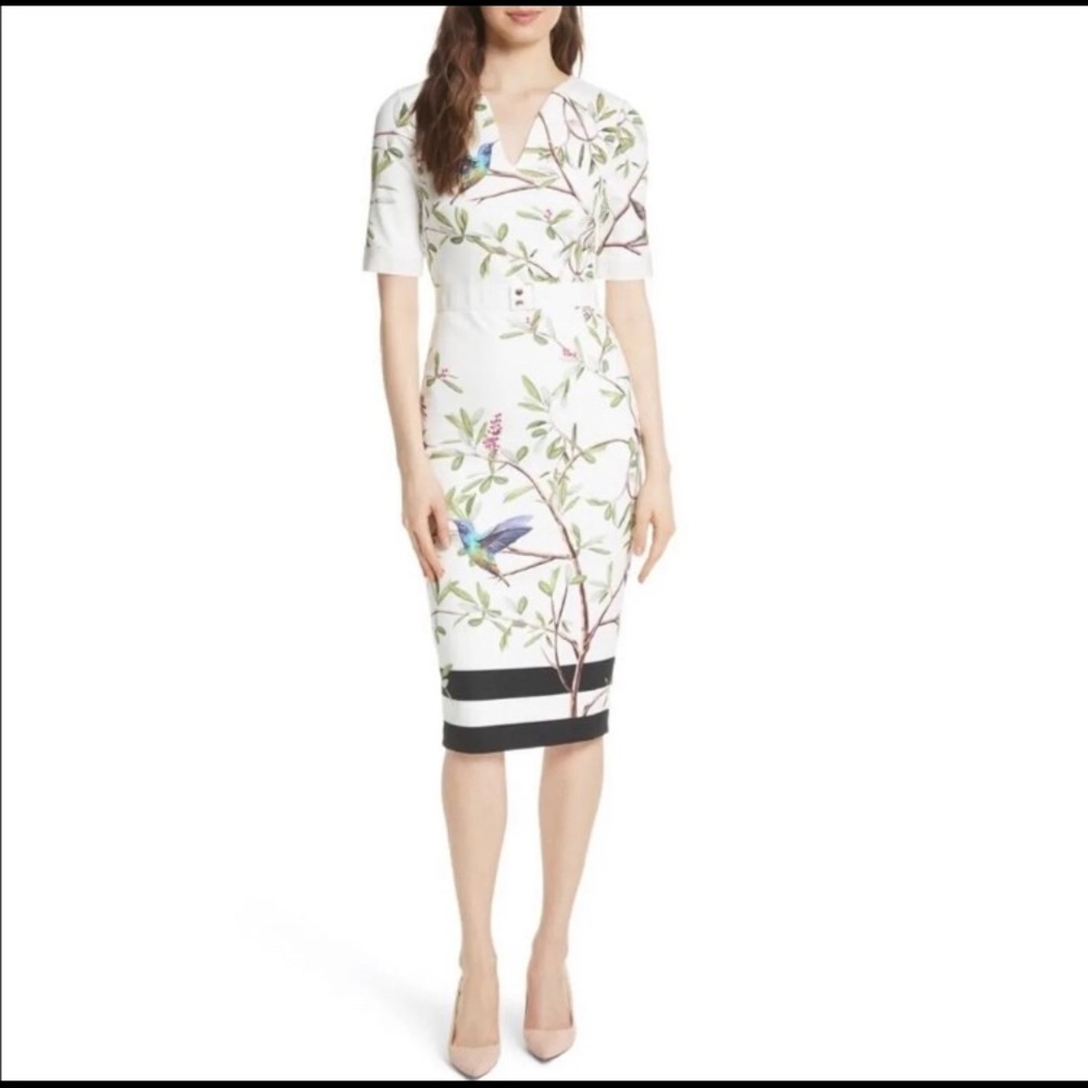 Ted Baker London Hummingbird Dress